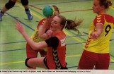 2013-03-02 Voorwaarts-Wesepe - de Stentor