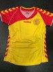 SC Wesepe shirt handbal en volleybal